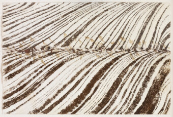 View artwork titled Tea and Coffee: Demarcating Line