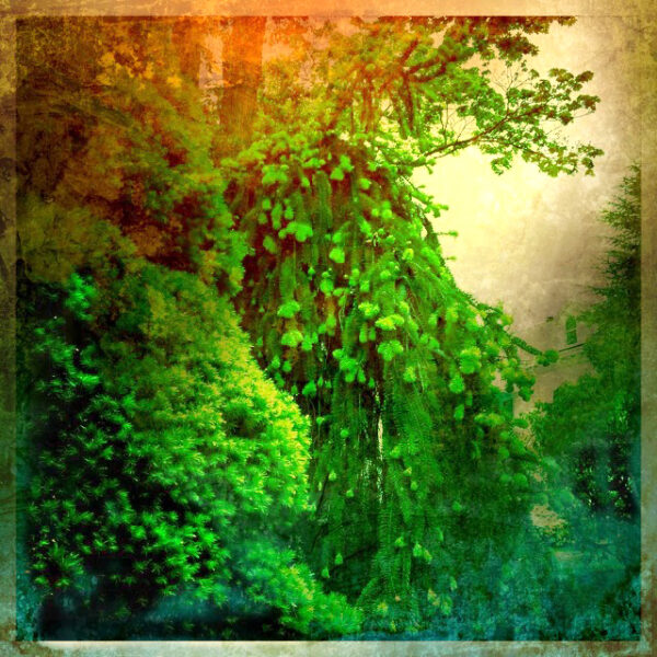 Dream of Spring