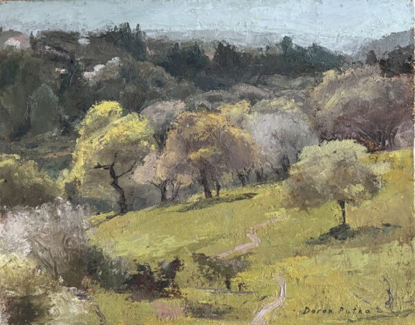 Galilee Hillside