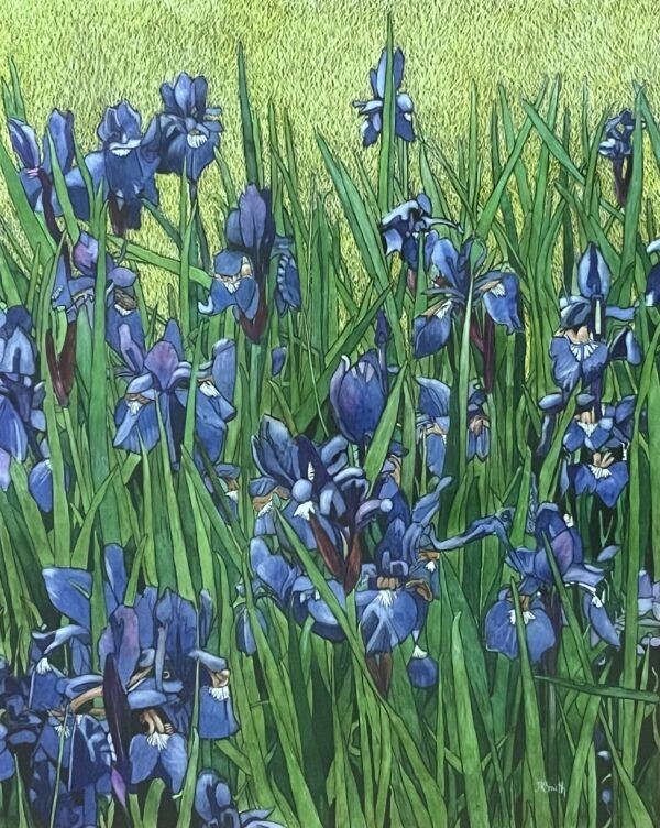 Irises