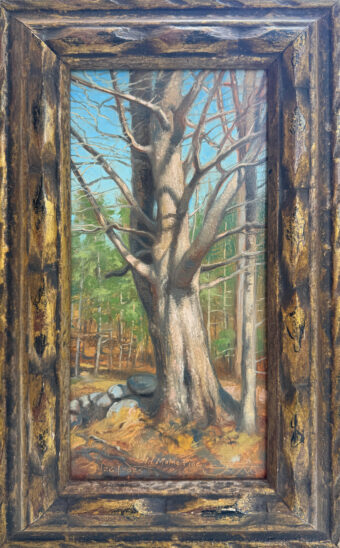 View artwork titled Old Maine Pine
