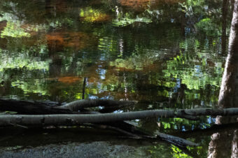 View artwork titled The Ducktrap River of Maine