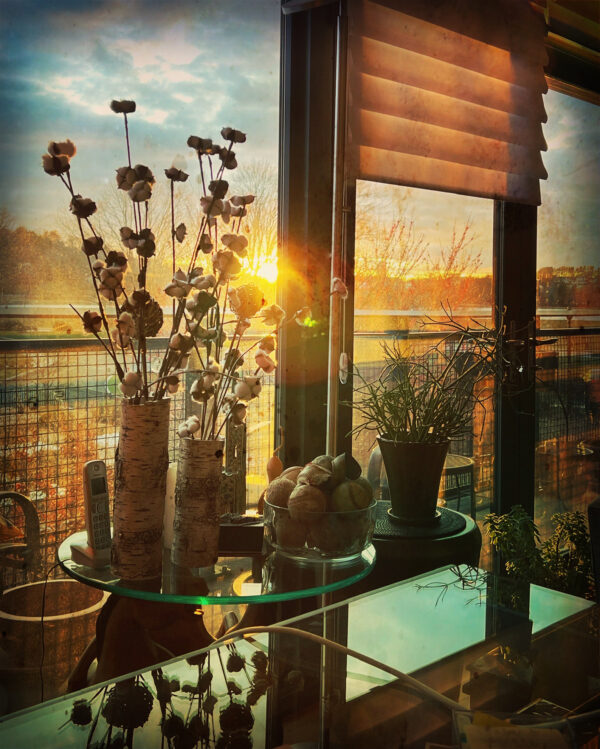 View From My Desk