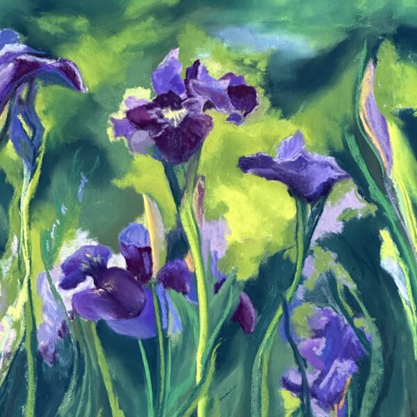 Surprise Irises