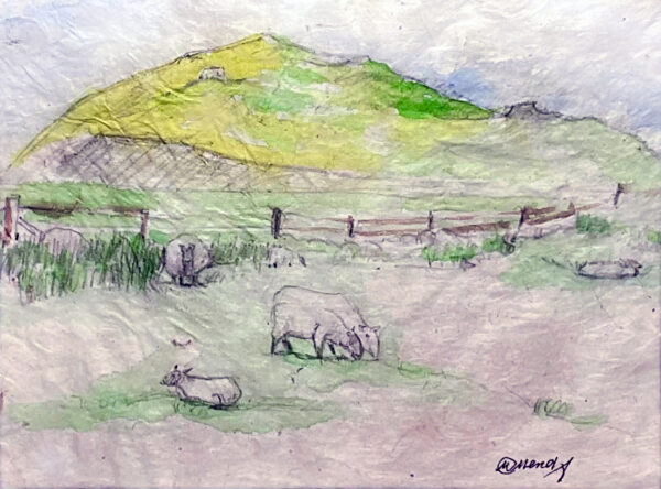 Lambie