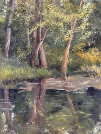 View artwork titled Silent Reflections