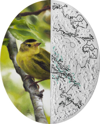 View artwork titled Collapse of the Wave Function: Nature #2