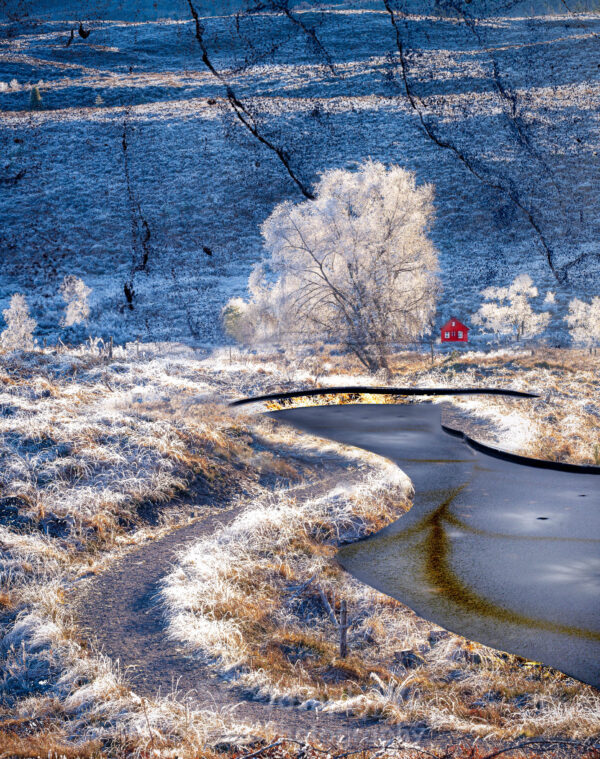 Hoarfrost I