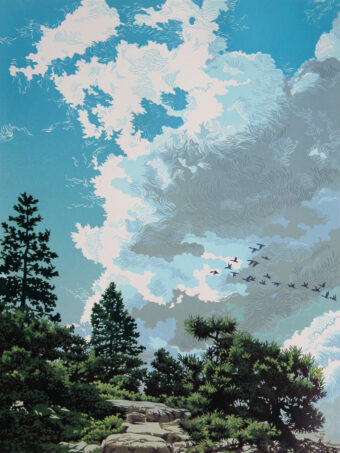 View artwork titled Migrant Sky