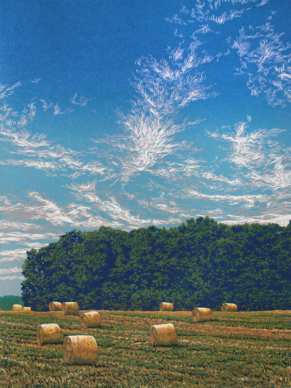 Summer Field