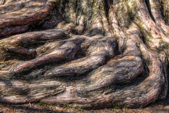 View artwork titled Texture Memory