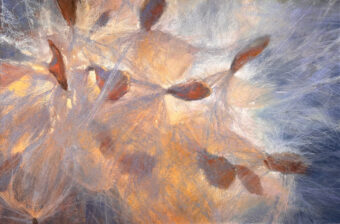 View artwork titled Wishing on the Wind