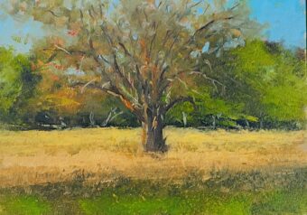 View artwork titled Sunset Farm old apple tree