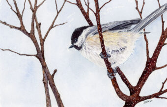 View artwork titled Stick Season I