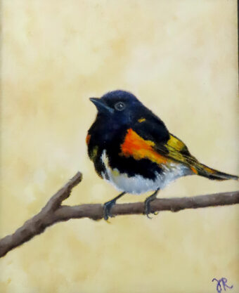 View artwork titled American Redstart 2