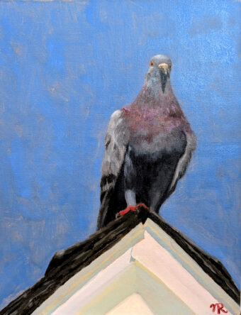 View artwork titled Rooftop Pigeon