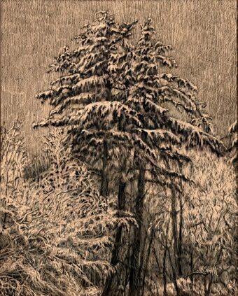 View artwork titled Snow Covered Pines