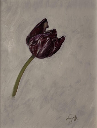 View artwork titled Broken Tulip
