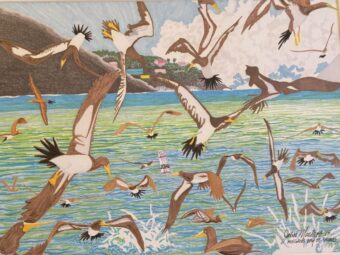 View artwork titled Feeding Frenzy
