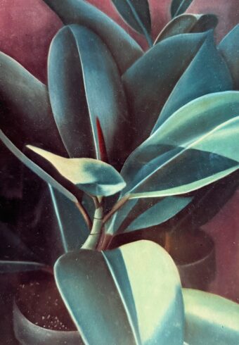 View artwork titled Firmly Grounded