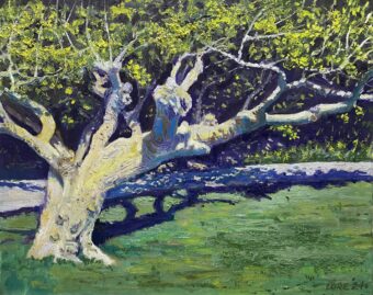 View artwork titled Mid-day at Monarch Beach