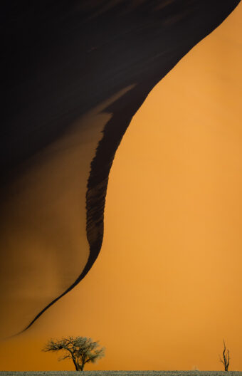 View artwork titled Enormity