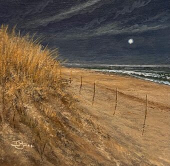 View artwork titled Beach Moon