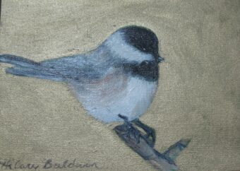 View artwork titled Black Capped Chickadee