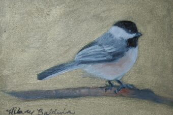 View artwork titled Black Capped Chickadee, II