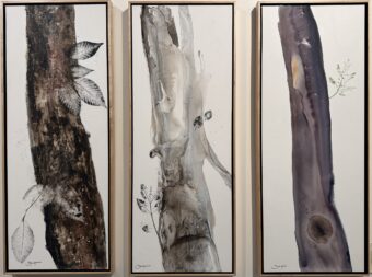 View artwork titled Climate Warrior Triptych