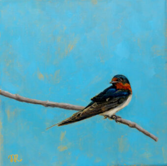 View artwork titled Barn Swallow 1