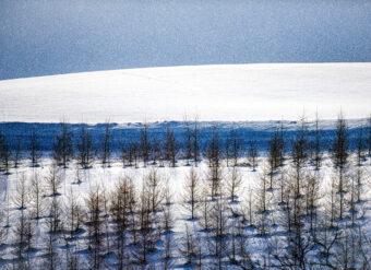 View artwork titled Constant Snow