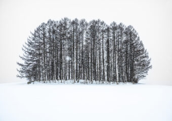 View artwork titled Winter Together