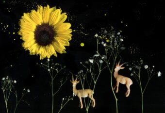 View artwork titled Tiny Precious World. Deers