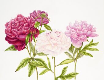 View artwork titled Quiet Grace