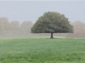 View artwork titled Perfect Shade-Tipperary Ireland