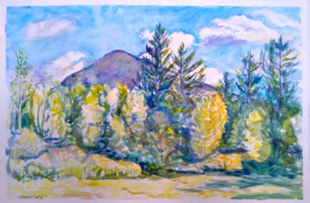 View artwork titled Spruce Mountain, Vermont