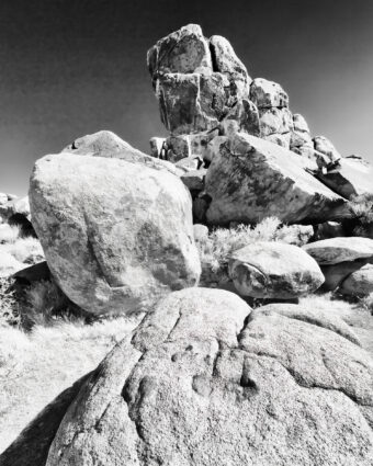 View artwork titled Joshua Tree National Park II