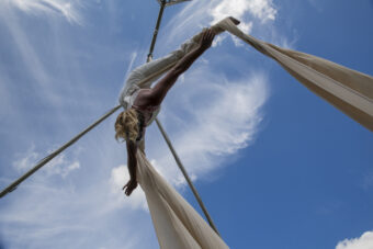 View artwork titled Flying