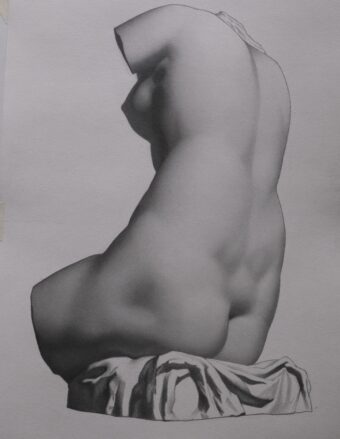 View artwork titled Venus. Bargue Plate I-64