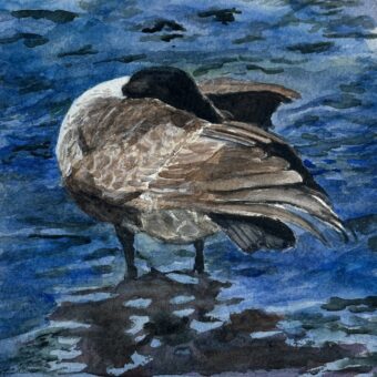 View artwork titled Grooming