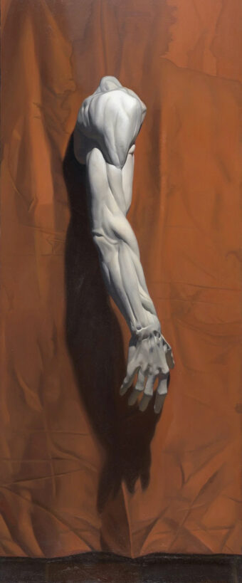 View artwork titled Trompe-l’oeil Écorché Arm, Zorn Palette