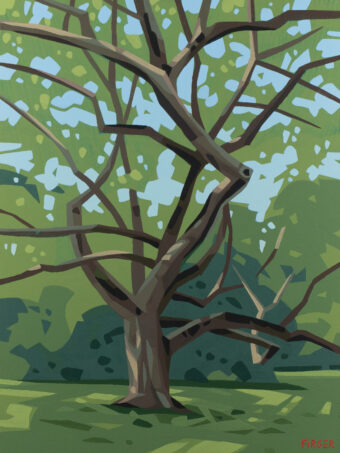View artwork titled Arboretum Twist