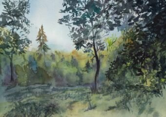 View artwork titled Summer Forest
