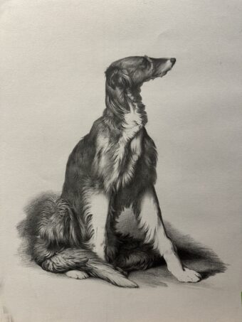 View artwork titled 6 Year Bargue Study