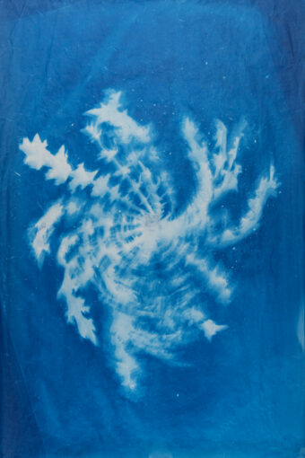 View artwork titled Spear Thistle Spiral