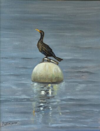 View artwork titled Cormorant#1