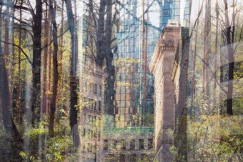 View artwork titled Before the city there was a forest