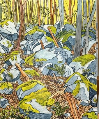 View artwork titled Boulder Field