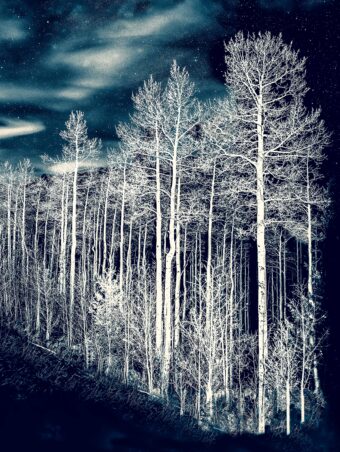 View artwork titled Nocturnal Dream